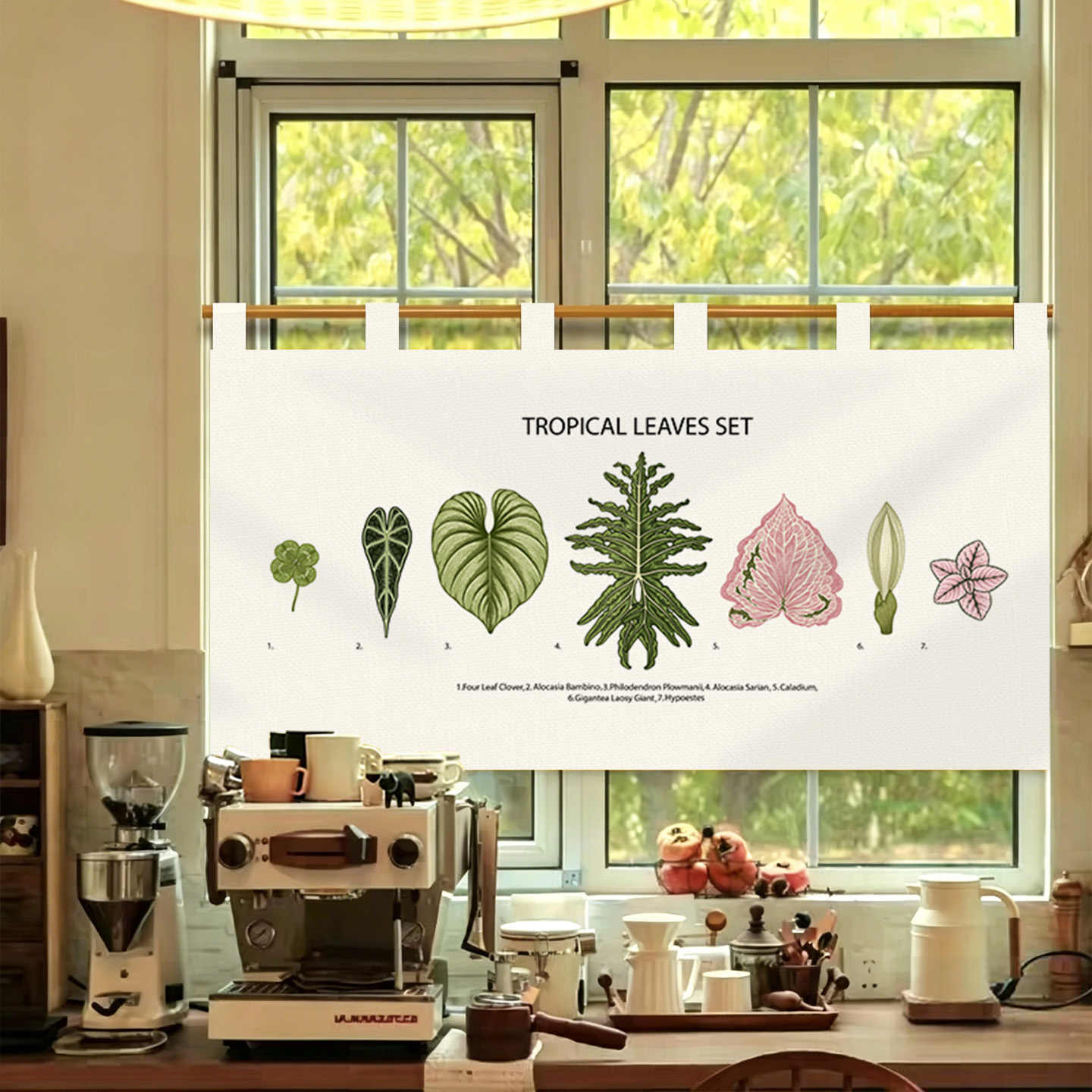 VIKAMA ผ้าม่านประตูโนเรนลายวาด - Commercial Window Printing บทวิจารณ์และราคา